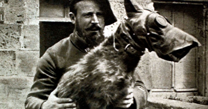 Imagen: Perro mensajero y su adiestrador. Getty